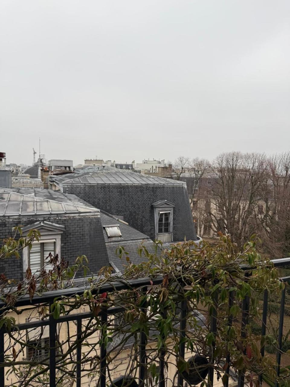 Appartamento Fancy - Champs Elysees Parigi